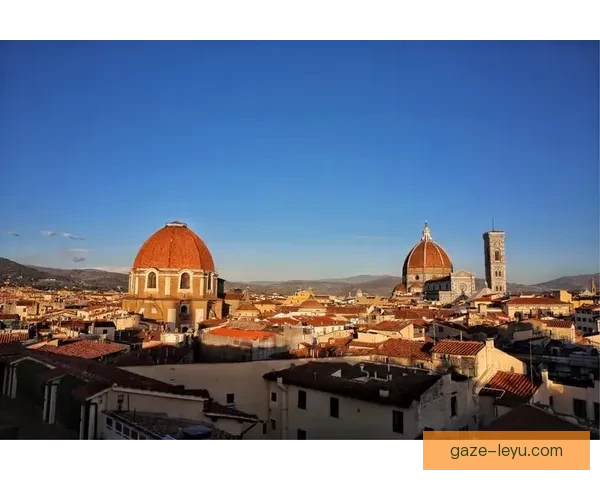 佛罗伦萨足球俱乐部历史沿革与未来发展展望分析