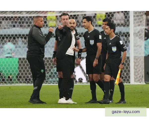 卢顿足球俱乐部迎来新任主教练，打造未来球队发展新蓝图