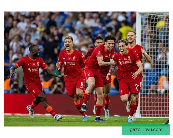 富勒姆足球俱乐部历史荣誉与未来发展全景解析