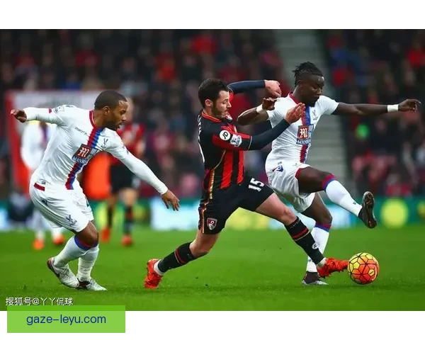 水晶宫俱乐部：英超赛场中的不屈雄鹰与未来发展之路