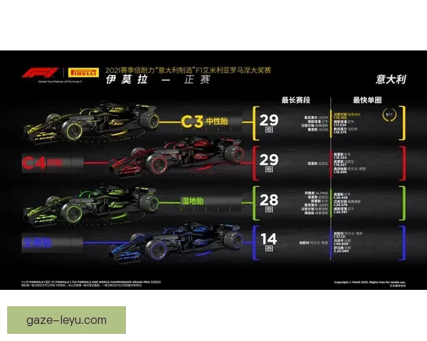 F1赛季最新动态：车队策略调整与赛道表现全面解析