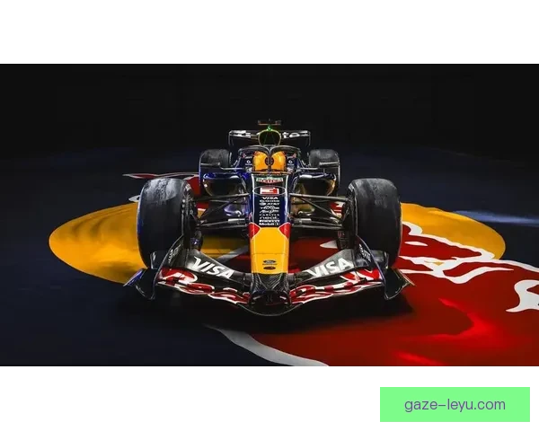 F1赛季最新动态揭秘顶级车队策略与冠军争夺战