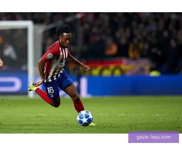 五大联赛数据统计平台全面分析与趋势解读